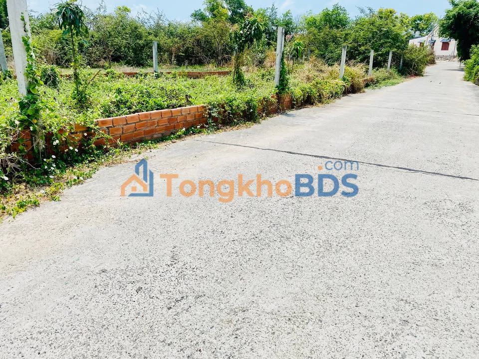 Đất nền Phước Hội Long Đất 1000m² 2 tỷ - Sổ đỏ chính chủ