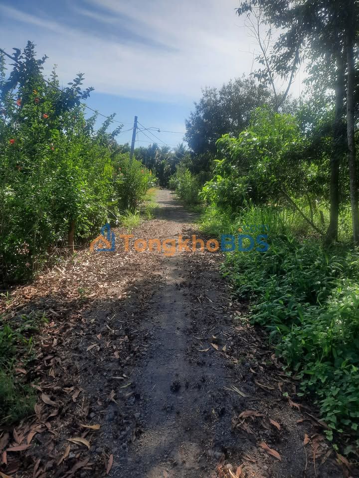 Farm Kim Thượng Gia Kiệm 1008m² 1.54 tỷ - Đầu tư dài hạn