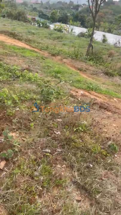 Đất vườn Tân Mộc Lục Ngạn 1ha - Nghỉ dưỡng lý tưởng