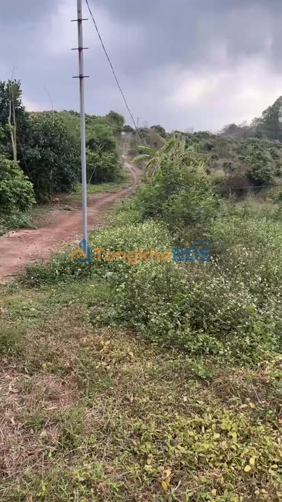 Đất vườn Sơn Hải Lục Ngạn 4.657m² 1 tỷ - Đường to ô tô