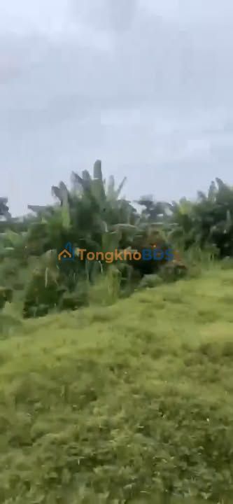 Đất nền Lâm San, Cẩm Mỹ 4 sào 1.52 tỷ Sổ đỏ chính chủ