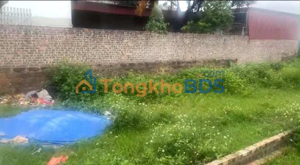 Đất thổ cư Thanh Trí Sóc Sơn 233m² thương lượng sâu - Sổ đỏ chính chủ