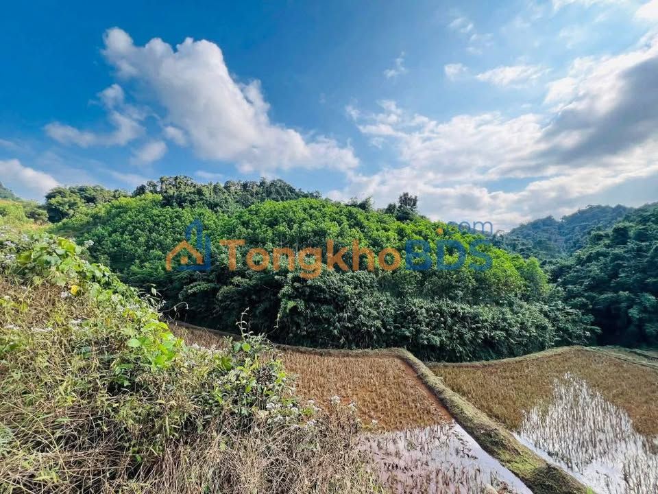 Đất vườn Tân Lạc Hòa Bình 30ha - Đầu tư dài hạn