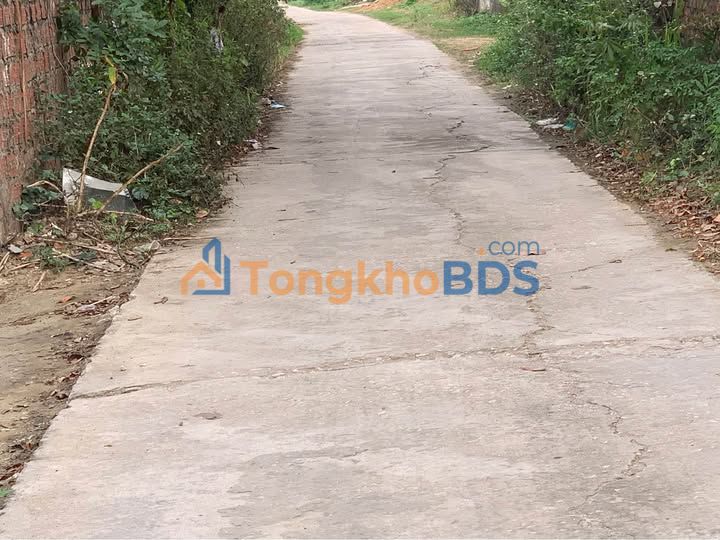 Đất nền Đông Triều 238m² giá 1 tỷ - Tiềm năng tăng giá