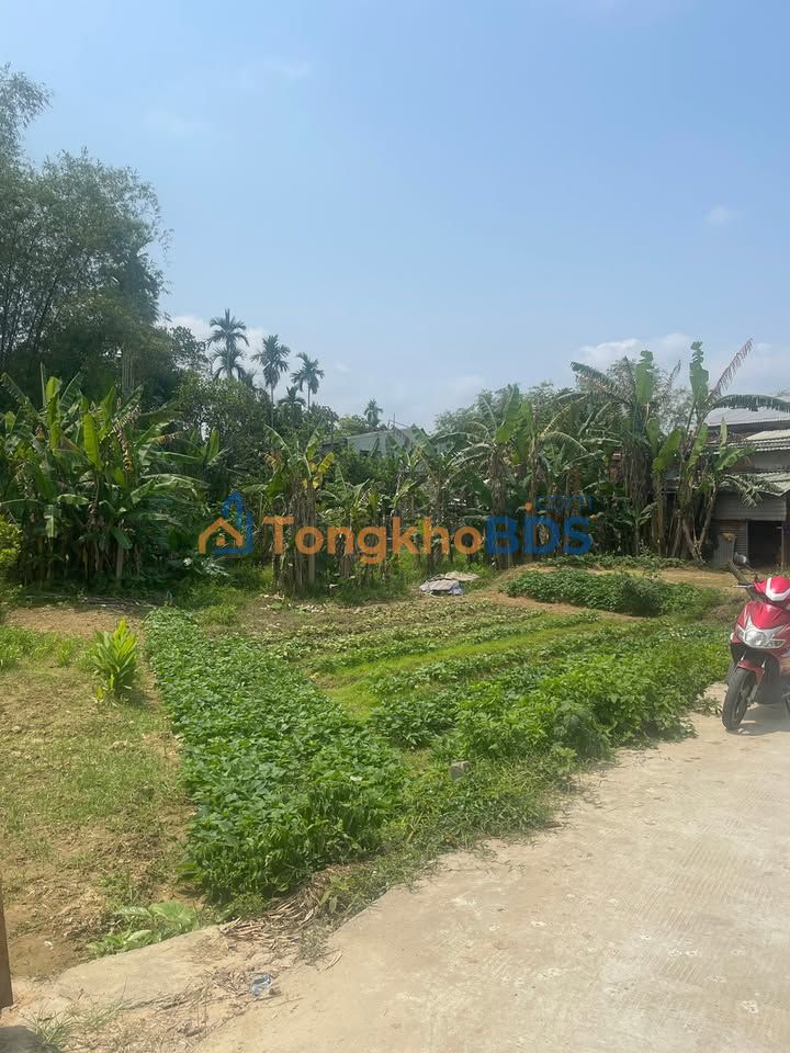 Đất nền Thôn Thạch Bồ 120m² 1,2 tỷ - Sổ hồng sẵn