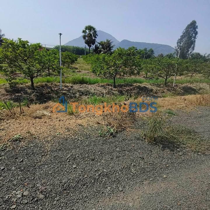 Đất nền Thanh Lợi Tây Ninh 1.000m² giá 349 triệu - Đường to ô tô