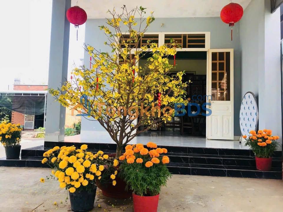 Nhà Hiệp Ninh Tây Ninh 218m² 2,03 tỷ - Chính chủ sẵn