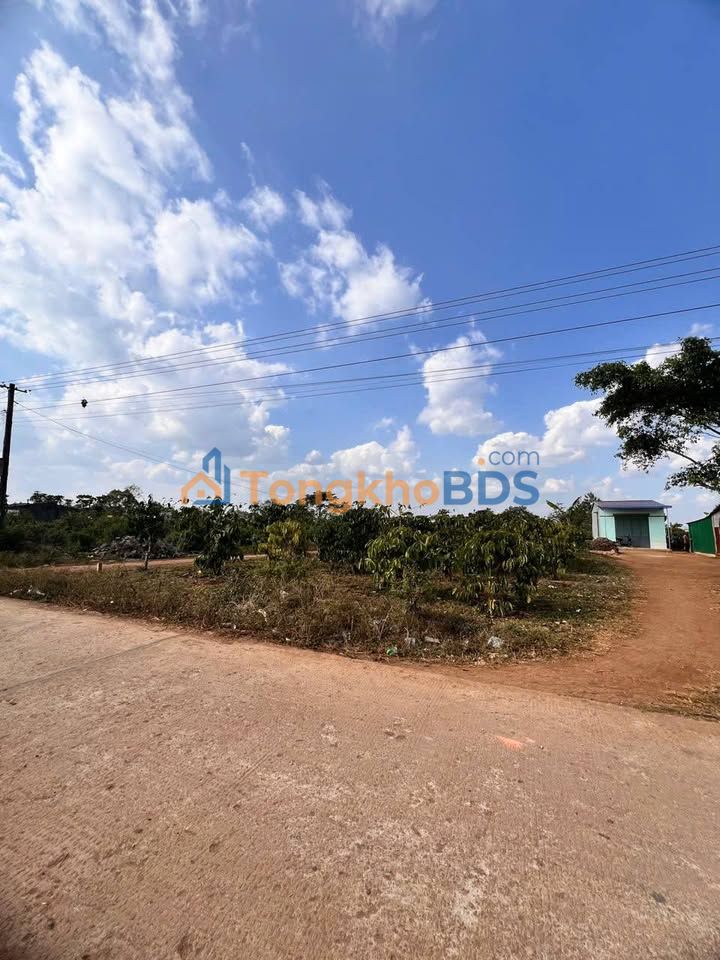 Đất Trương Định Quy Nhơn 234m² 300-399tr - Tiềm năng tăng giá