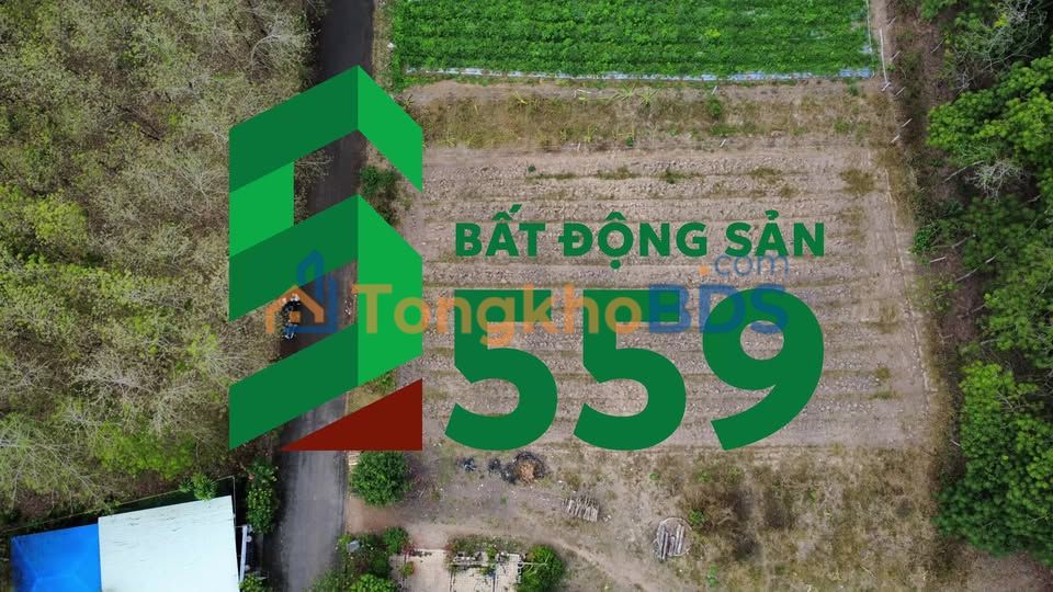 Đất An Long Phú Giáo 236m² 970 triệu - Sổ hồng riêng