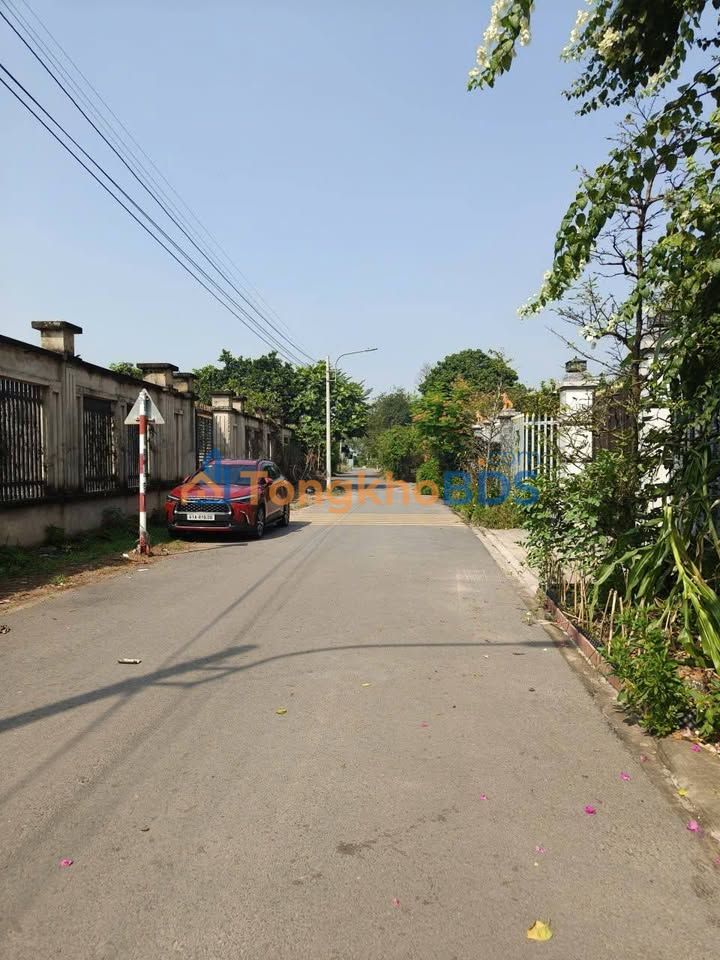 Đất nền Thới Hòa Bến Cát 282m² - Hạ tầng hoàn thiện