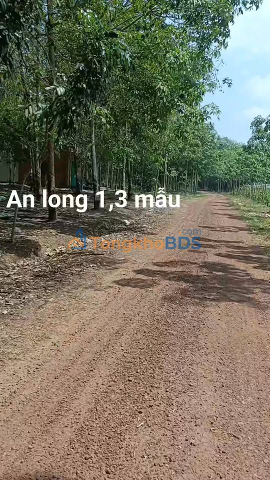 Đất vườn An Long Phú Giáo 13.000m² 4 tỷ - Sinh thái xanh