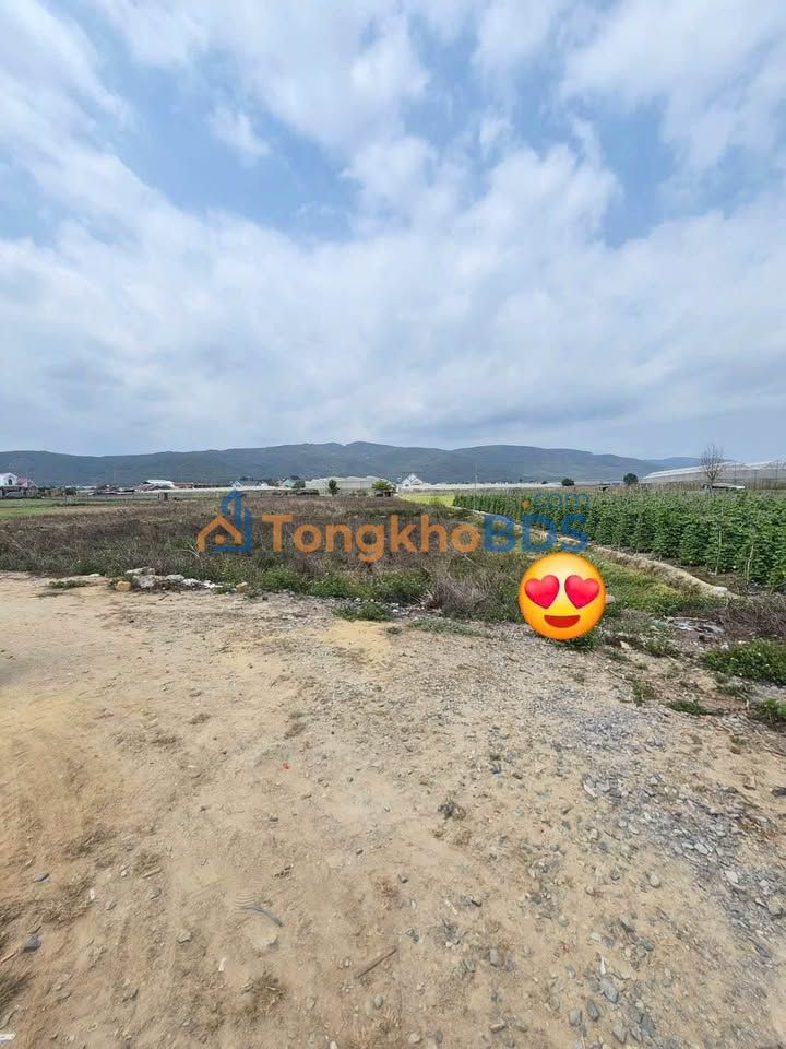 Đất nghỉ dưỡng Thạnh Mỹ 76m² 550 triệu - Sổ đỏ chính chủ