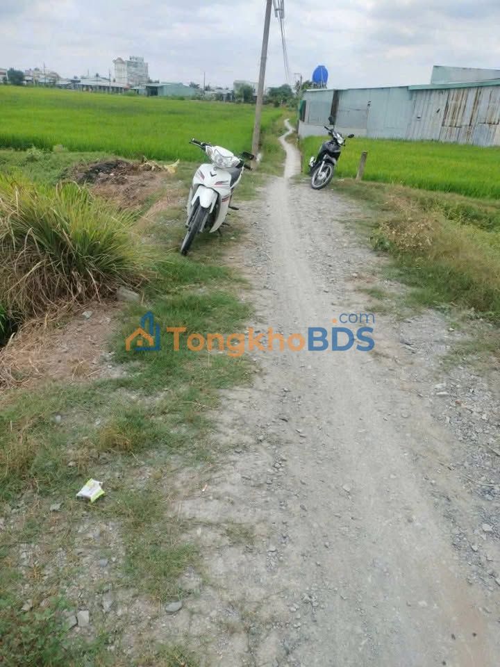 Đất Bình Thạnh Thủ Thừa 1000m2 670 triệu - Sổ đỏ chính chủ