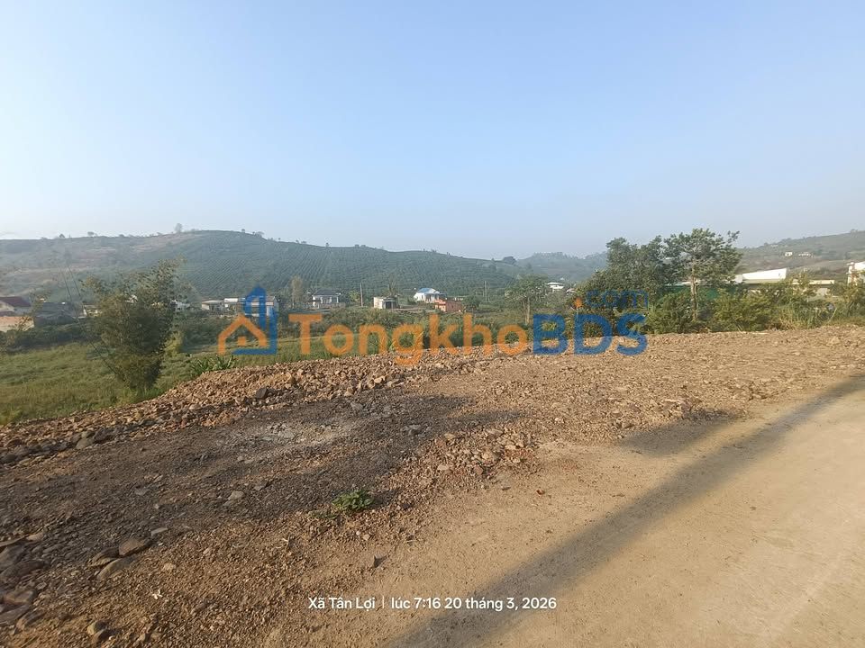 Đất nền Tân Lợi 250m² giá 399 triệu - Sổ đỏ chính chủ