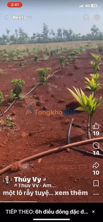 Farm Ia Dom, Đức Cơ 4,6ha giá thỏa thuận - Xây dựng tự do