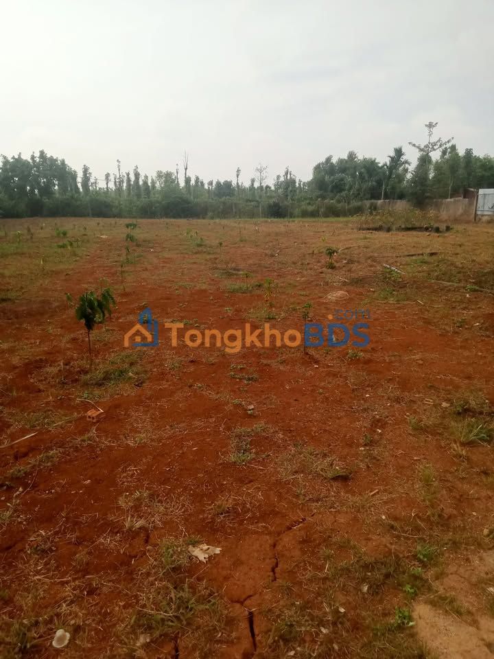 Đất nền Ea Phê Krông Pắc 2.400m² - Xây dựng tự do