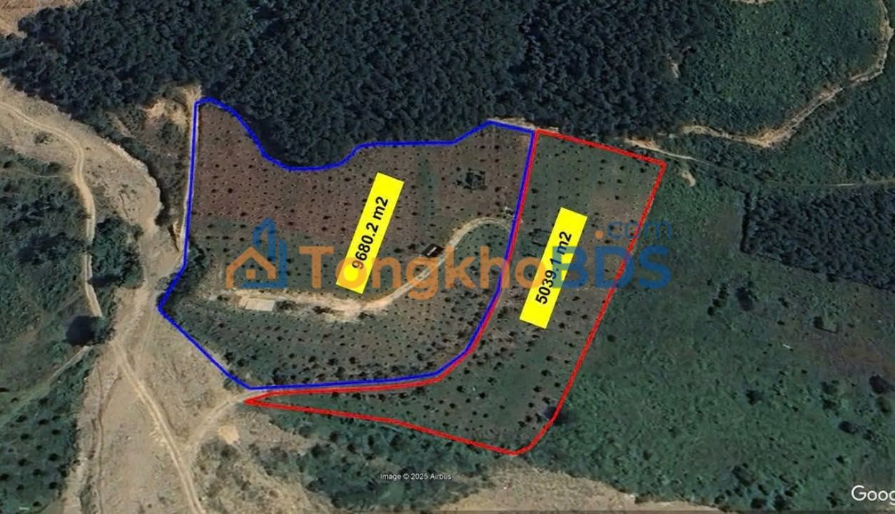 Bán Gấp Trang Trại 15.000m² Hòa Ninh, Đà Nẵng - Giá Tốt 8.8 Tỷ