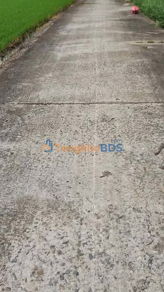 Bán đất Gò Công Tây 341m² thổ cư - Sổ hồng sẵn sàng