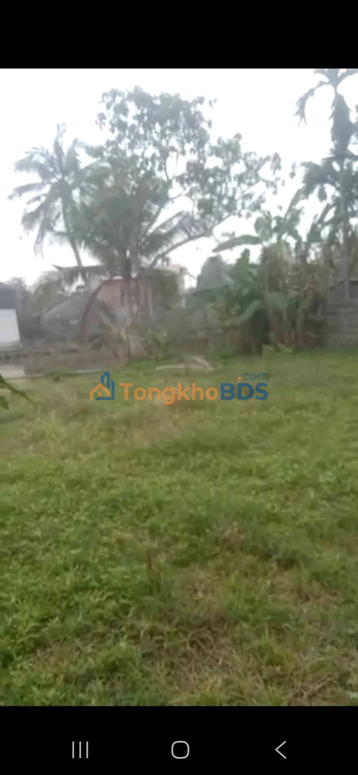 Đất nền Nga Tân Thanh Hóa 506m2 700tr - Sổ đỏ