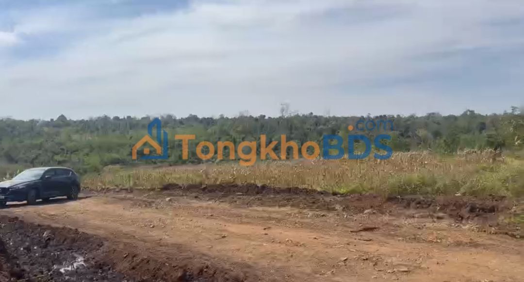 Đất nền Ea Drong Buôn Hồ 2.730m² giá 3,5 tỷ - Sổ đỏ chính chủ