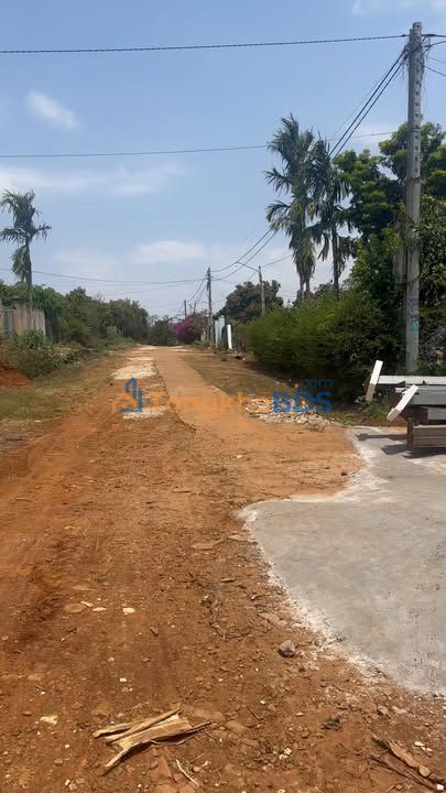 Nhà mặt tiền Mai Hắc Đế Buôn Hồ 245m²/1.39 tỷ - Chính chủ bán gấp