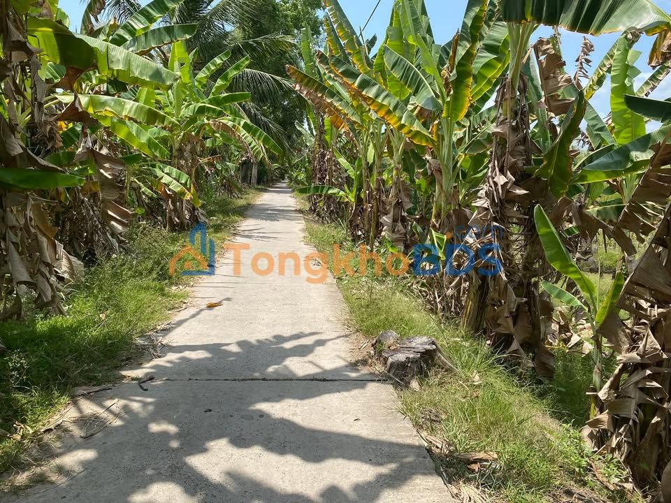 Đất ruộng Bình Minh 5,2 công 1,248 tỷ - Tiềm năng tăng giá