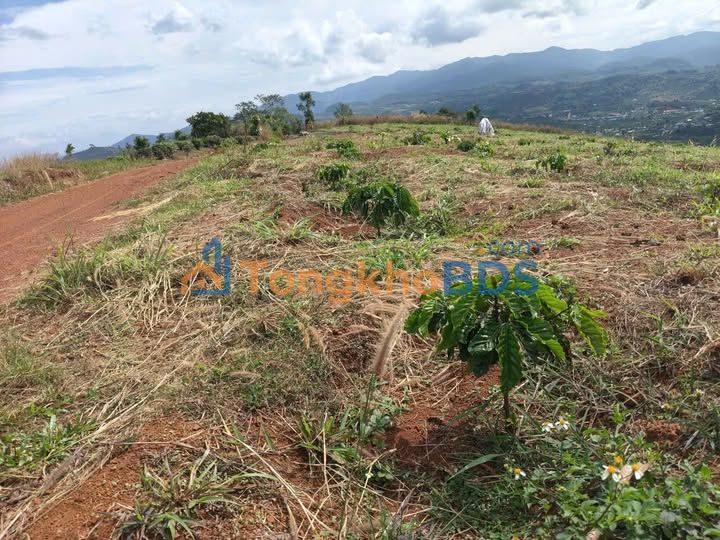 Đất nền Lộc Bắc Bảo Lâm 2.160m² 1,5 tỷ - Sổ đỏ chính chủ