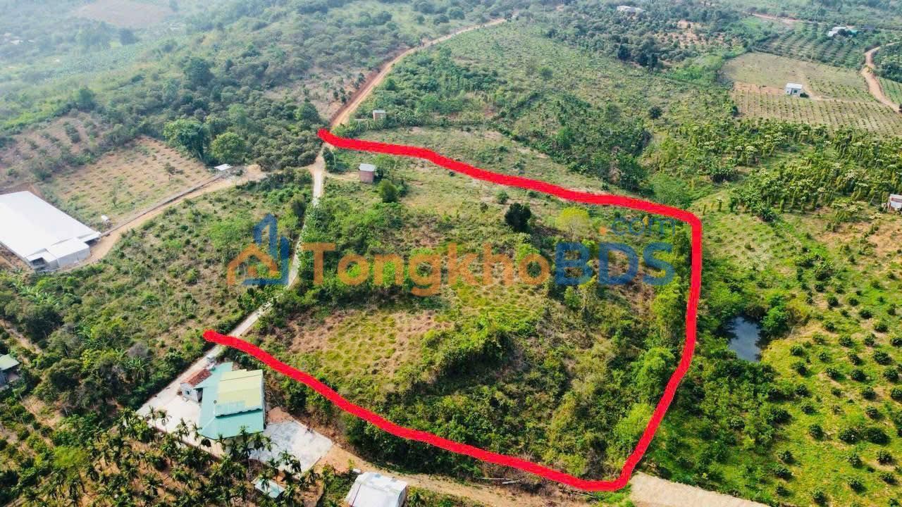 Đất nền Xuân Phú Ea Kar 1.728m² 750tr - Tiềm năng tăng giá