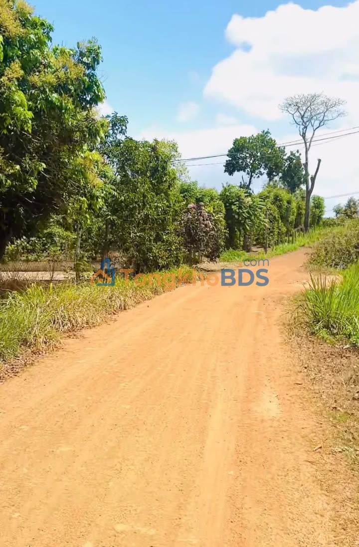 Đất thổ cư Thôn 10 Cưni Ea Đar 960m² 5xx triệu - Sổ đỏ chính chủ