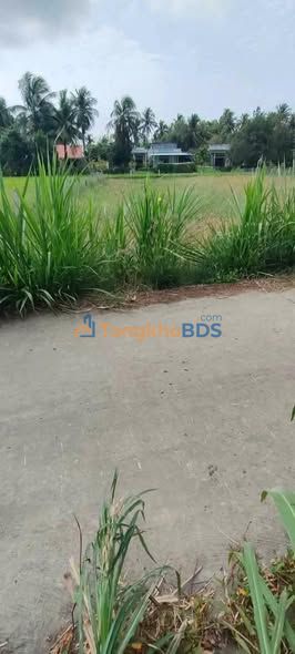 Đất Vĩnh Hựu Gò Công Tây 250m² - Giảm Sốc 60 Triệu Chỉ Còn 3.2 Tỷ