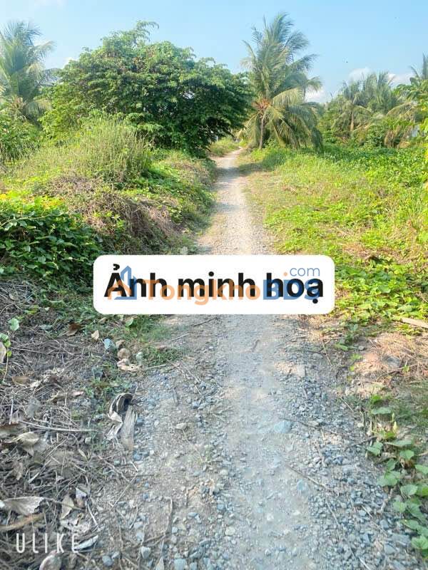 Đất Lương Định Của 150m² 159 triệu - Tiềm năng tăng giá