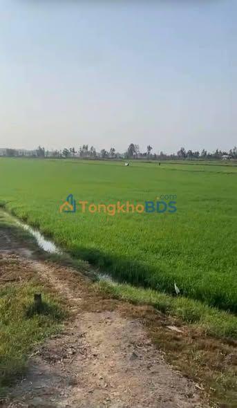 Đất nền Tri Tôn 22.000m² 1.76 tỷ - Đường to ô tô