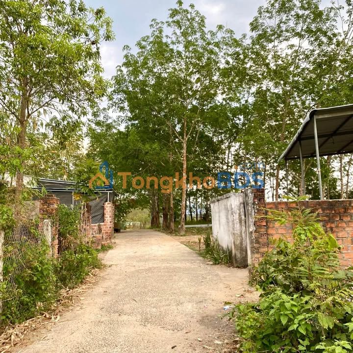 Đất Nguyễn Trãi Kon Tum 200 triệu - Hạ tầng hoàn thiện