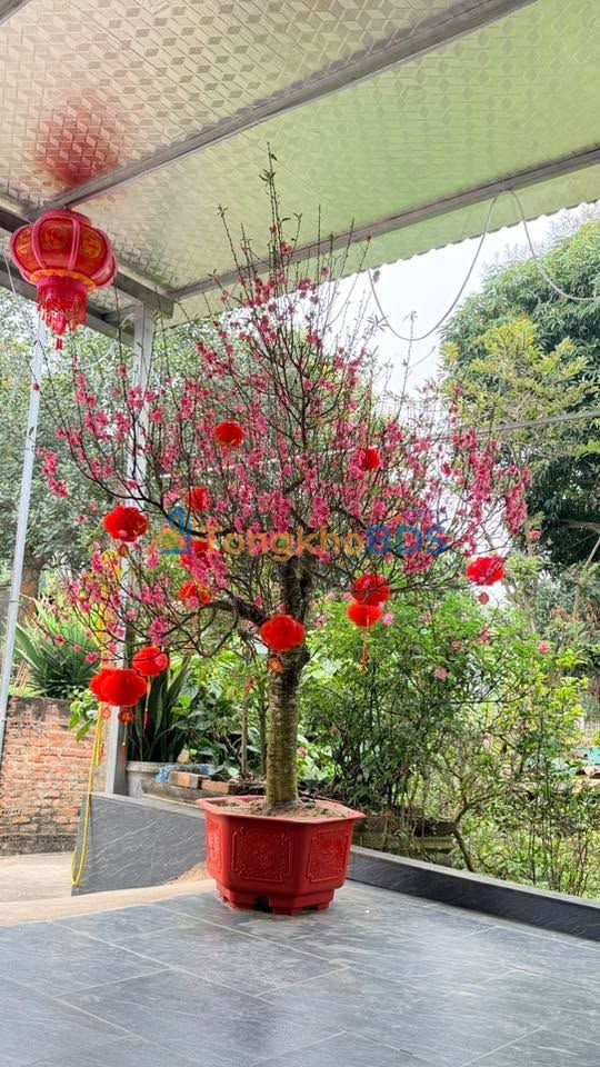 Đất Vĩnh Phúc 100m² - Mặt tiền kinh doanh, ô tô tránh