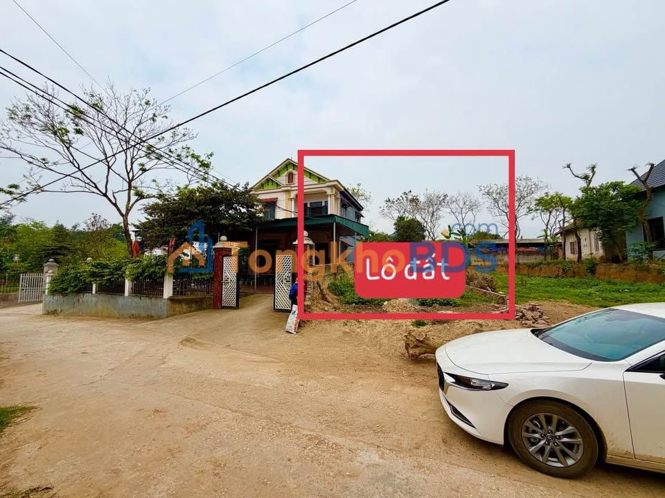 Đất nền Tam Dương Vĩnh Phúc 170m² 850tr - Xây dựng tự do