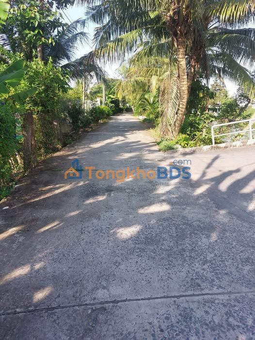 Đất Nền Lai Vung, Đồng Tháp - Nở Hậu 11.8m, Giá 470 Triệu