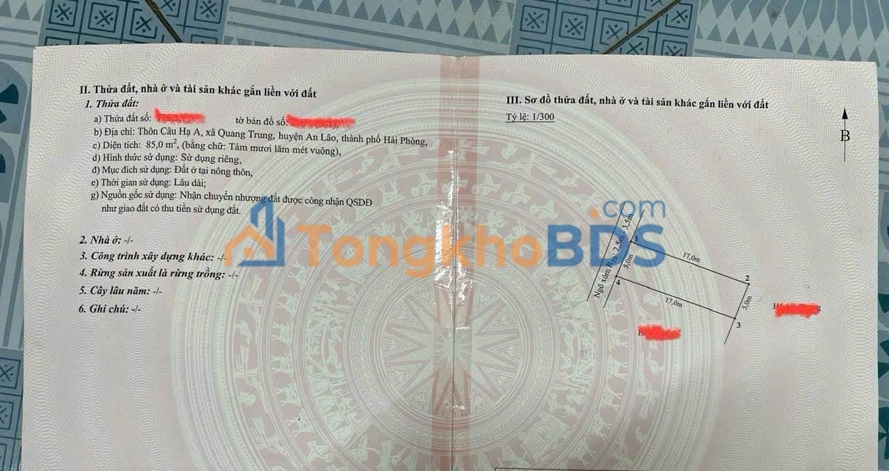 Đất nền An Lão HP 85m² 1 tỷ - Đường to ô tô