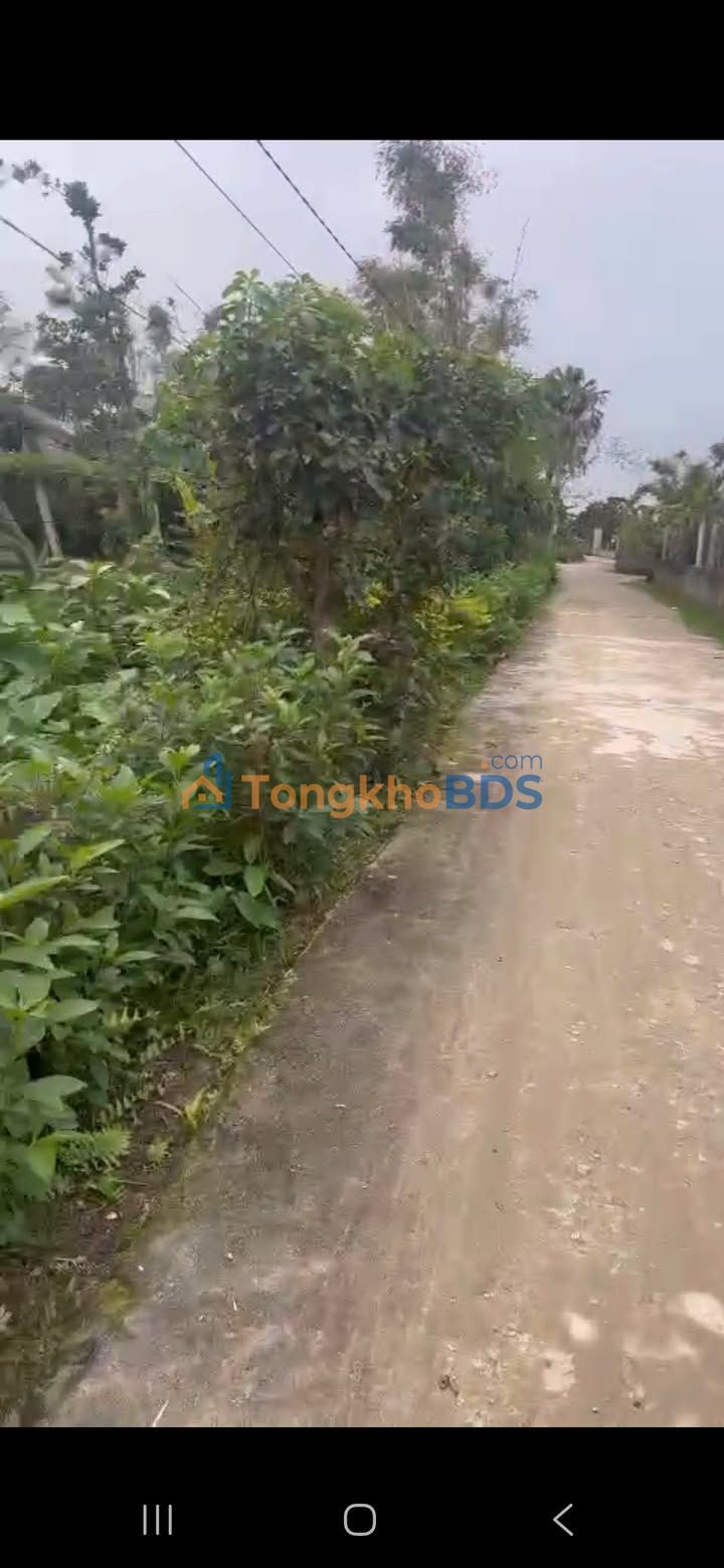 Đất nền Cẩm Bình, Hà Tĩnh 544m² - Sổ TC, Giá 1.x Tỷ