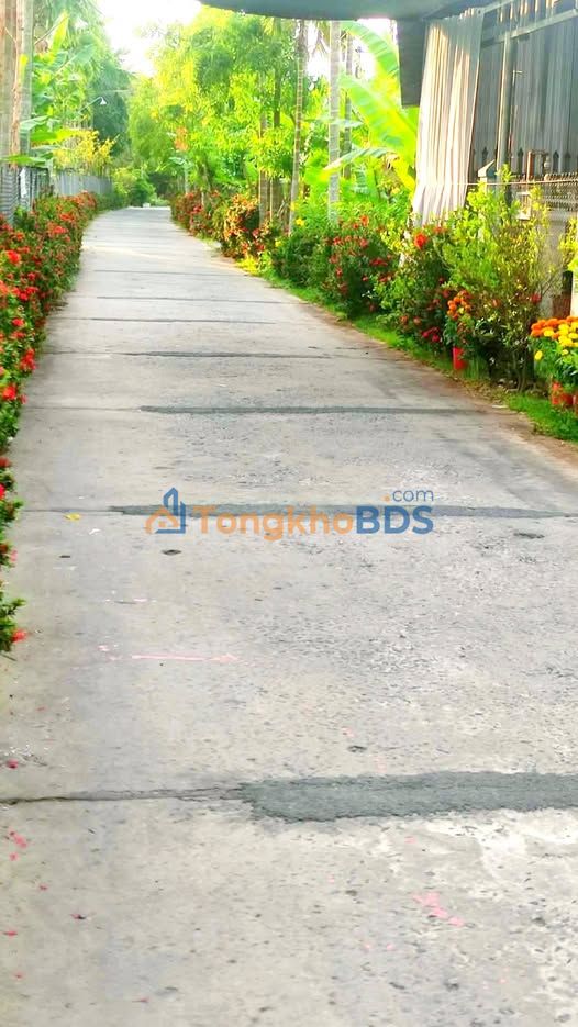 Đất nền Long Hậu Lai Vung 600m² giá 1.8 tỷ - Đường to ôtô