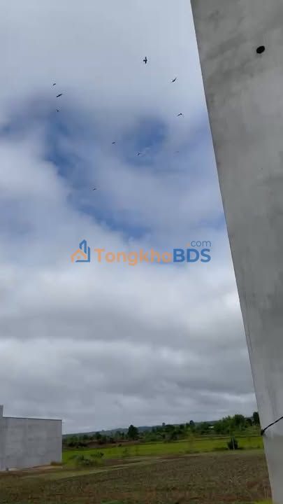 Trang trại yến Làng Chư Ruôi Sụl 1143m² giá thỏa thuận - Đầu tư dài hạn