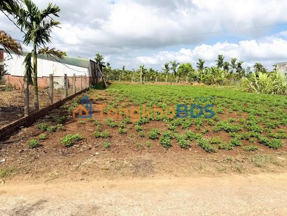 Đất Ea Kly Krông Pắc 400m² 1.2 tỷ - Tiềm năng tăng giá