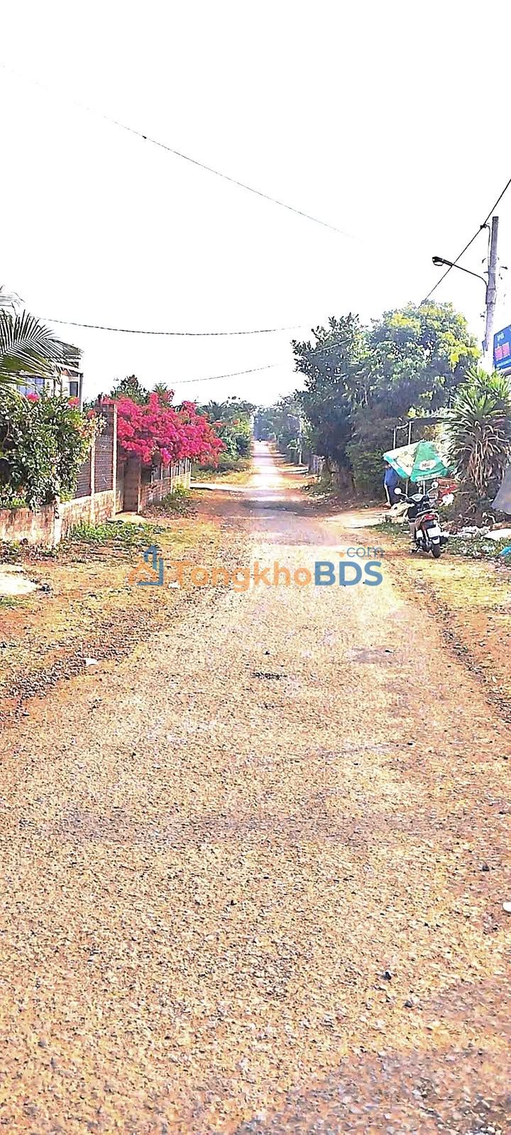 Đất nền An Phú Pleiku 21000m² 1.2 tỷ - Đường to ô tô