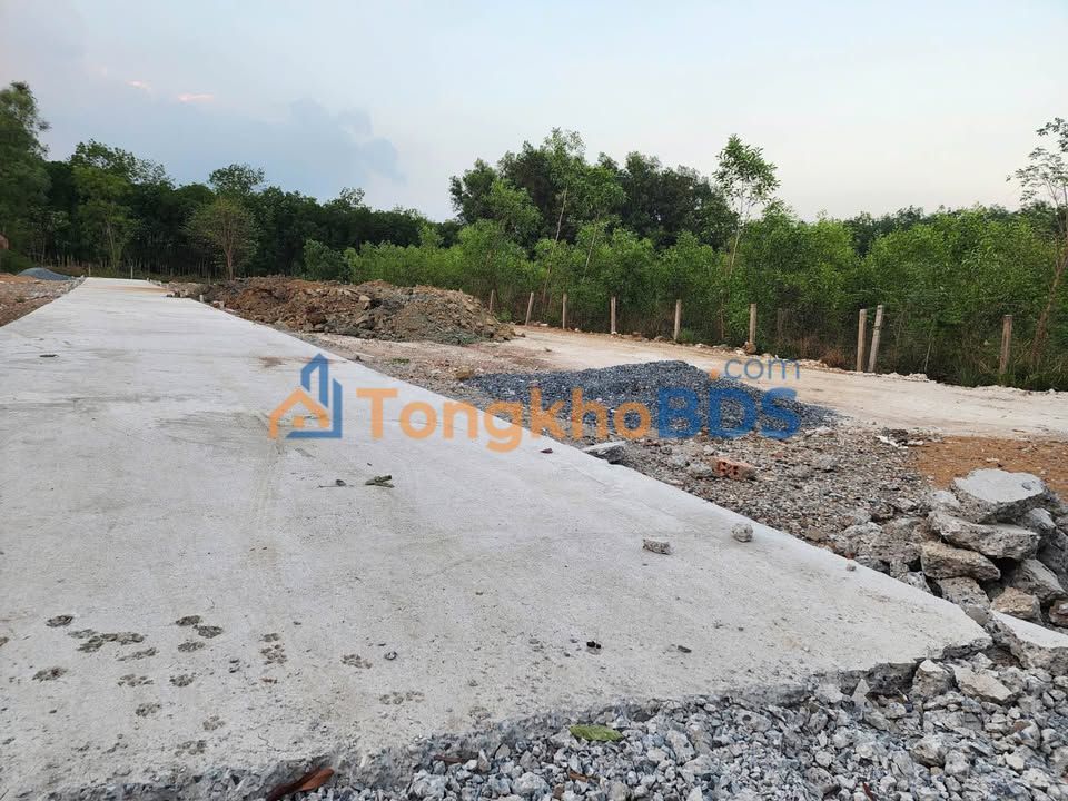 Đất Tân Phong Biên Hòa 80-129m² - Sổ đỏ chính chủ