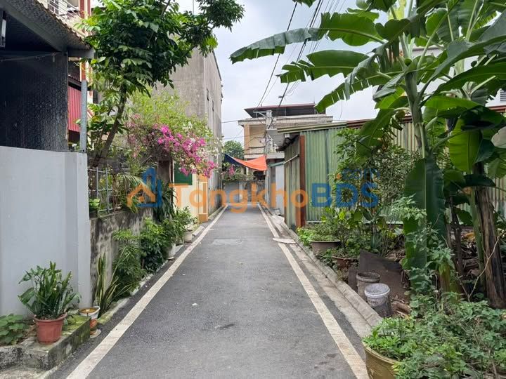 Đất nền Dương Đức Hiền, Gia Lâm 100m² - Sổ đỏ chính chủ