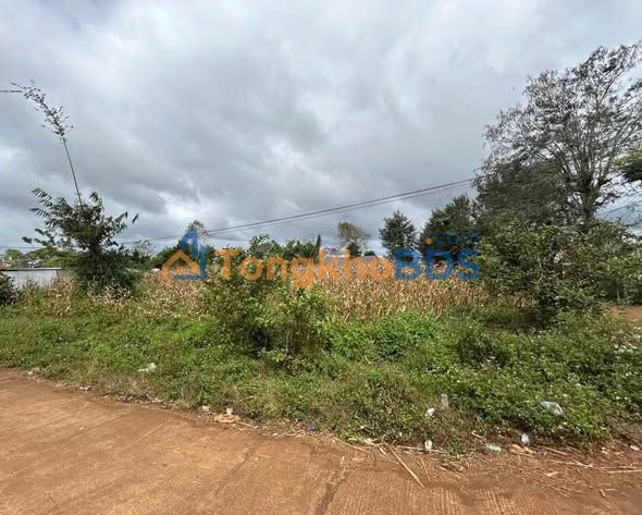 Đất mặt tiền Ama Jhao, Buôn Hồ 170m² giá 550 triệu - Sổ hồng chính chủ