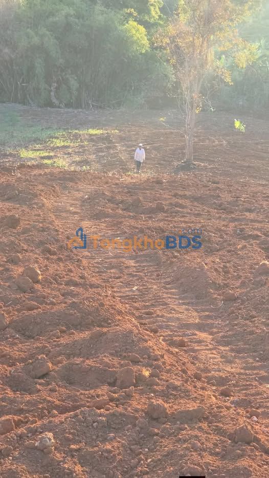 Đất vườn Cư Pơng Krông Búk 4ha giá 6,2 tỷ - Đầu tư dài hạn