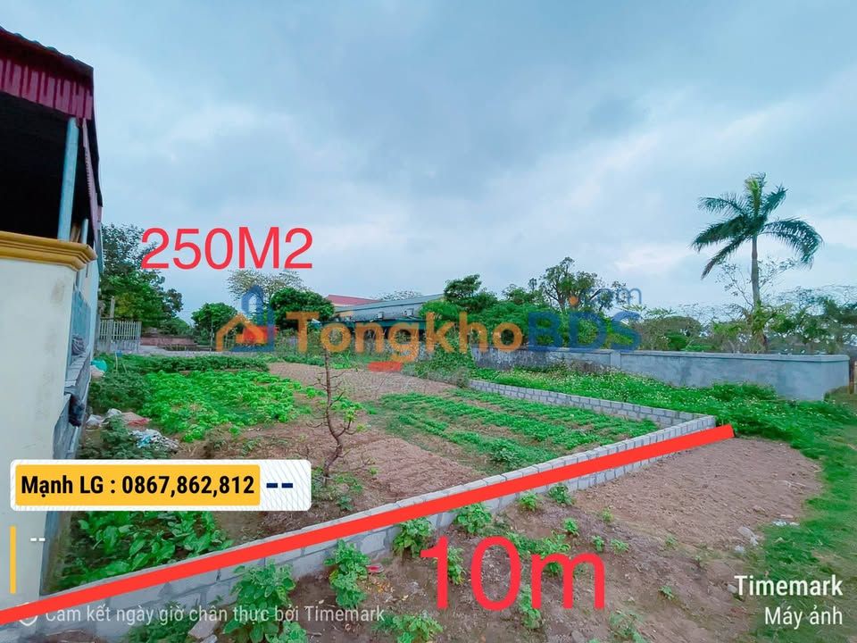 Đất nền Đông Đô Hưng Hà 250m² 1.2 tỷ - Sổ đỏ chính chủ