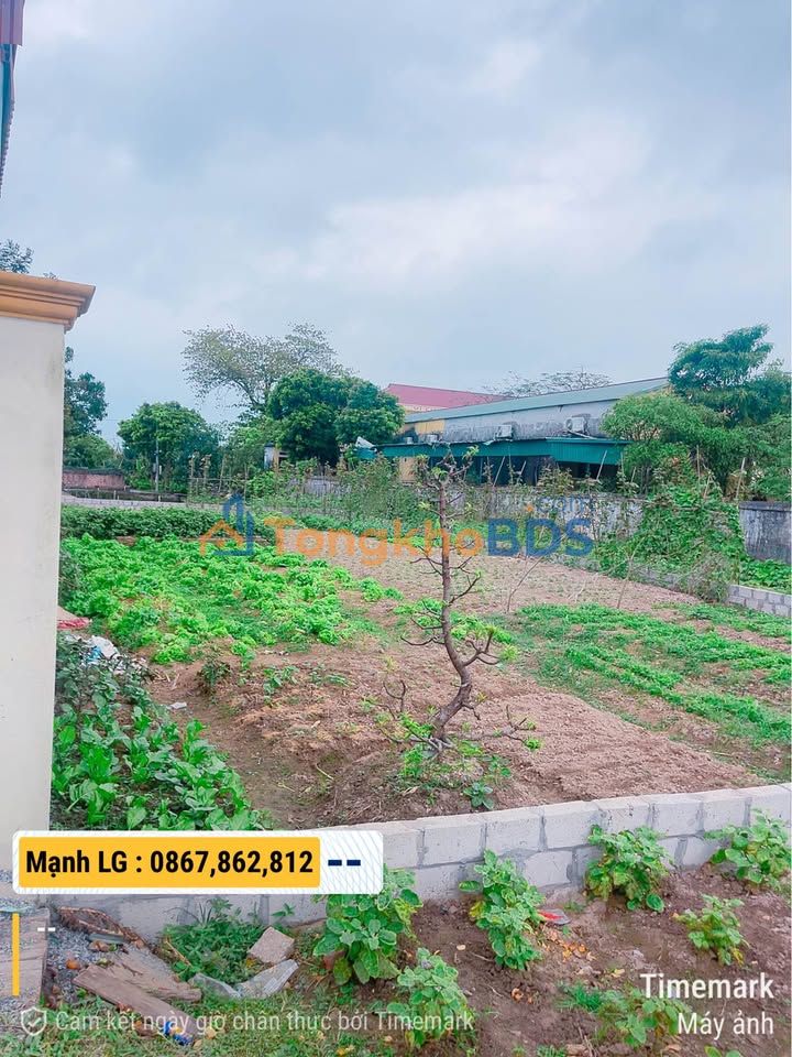 Đất nền Đông Đô 250m² giá 1.2 tỷ - Sổ đỏ chính chủ