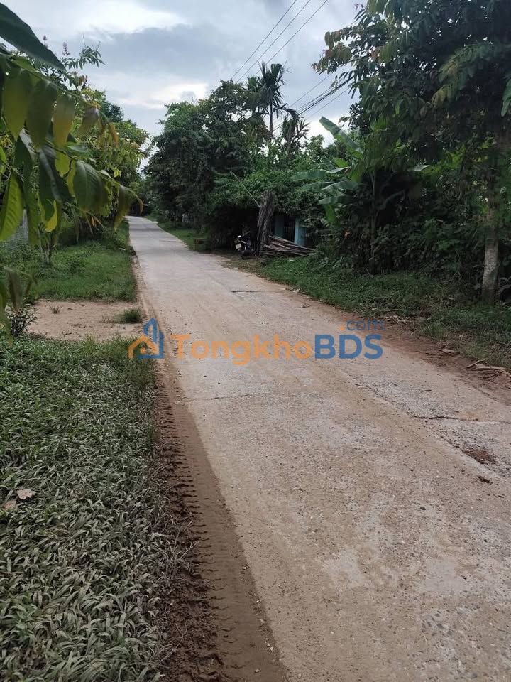 Đất nền Hòa Hiệp Bắc 375m² 2 tỷ - Sổ hồng chính chủ