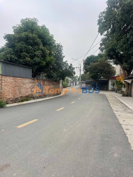 Bán Gấp Đất Nền 284.5m² Trục Chính Thanh Miếu, Việt Trì - Chỉ Từ 3 Tỷ